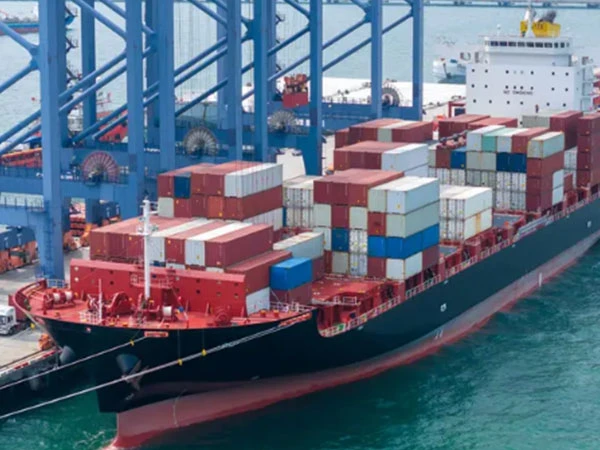 Sea Freight Express Service